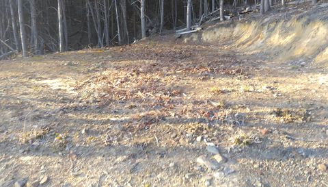 371 Pressmens Home Rd