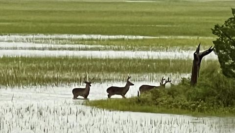 14 Waterway Island Dr