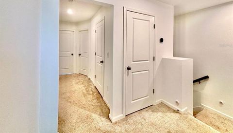 1005 SPRING PALMS LOOP
