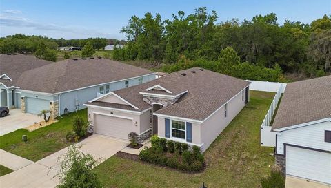 35977 MORSE WILLOW COURT