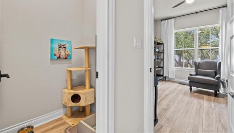 109 Star Thistle TRL