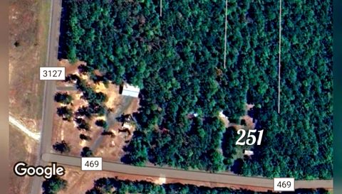 251 County Road 469