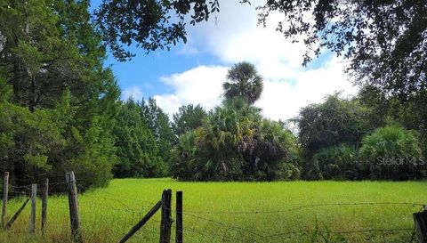 4031 Old Floral City