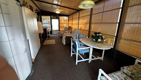 10843 Bonapartes Gull SE