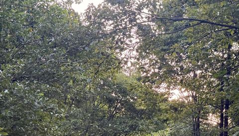 68247 State Route 56