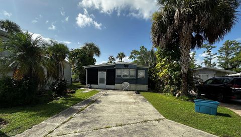 10843 Bonapartes Gull SE