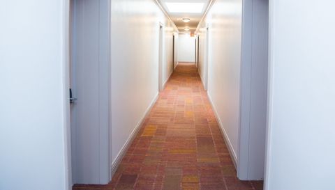 1824 N Lincoln Park West