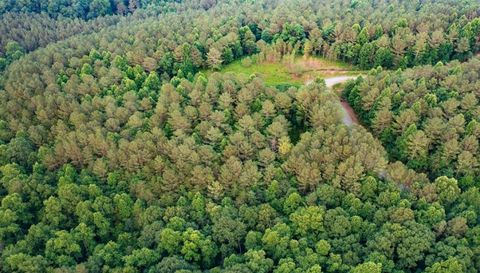 0 Reece Mountain Road Ellijay Ga 30540