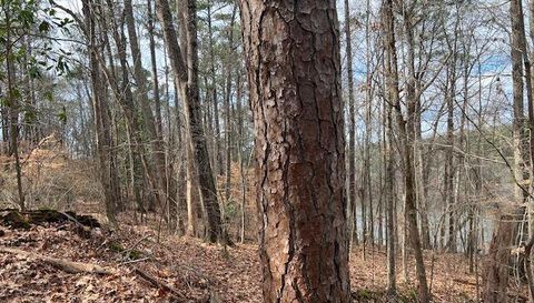 0 Lower Dixie Lake Rd