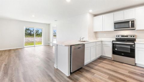 1833 HAMMOCK TRACE DRIVE