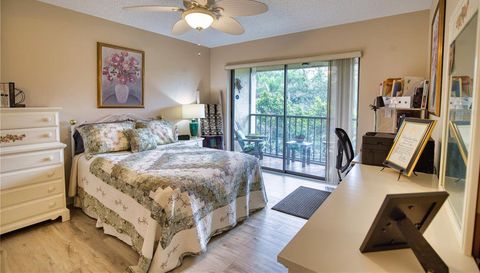 752 White Pine Tree