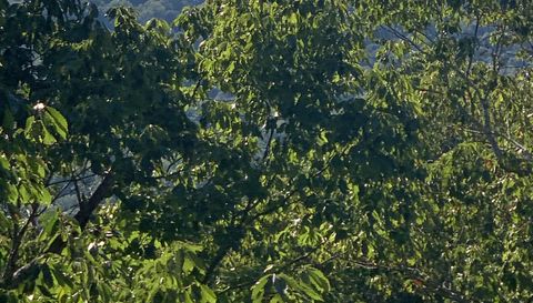 0 Wilderness Lane Lot 5 Spencer