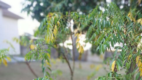 5398 Oxford Manor Cir