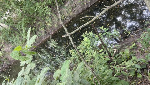 38751 Sugar Ridge Rd