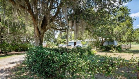 31905 County Road 52