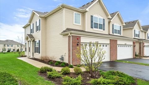 1125 Hawk Hollow Drive