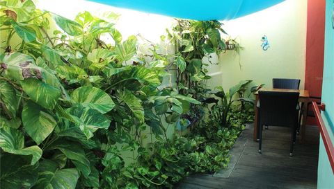 17 Calle Carlos Lebrun