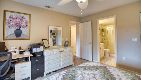 752 White Pine Tree