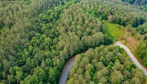 0 Reece Mountain Road Ellijay Ga 30540