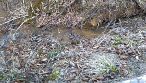 371 Pressmens Home Rd