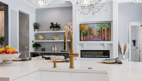 241 CONSERVATORY DRIVE