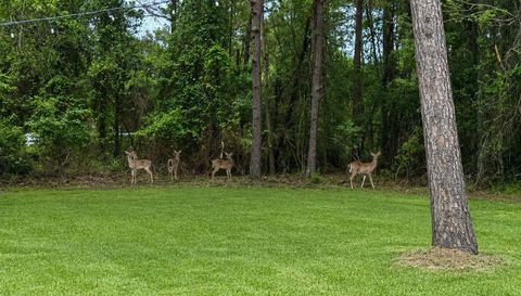 12226 E Border Oak Dr