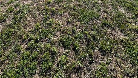 6709 COOPER CROSSING COURT