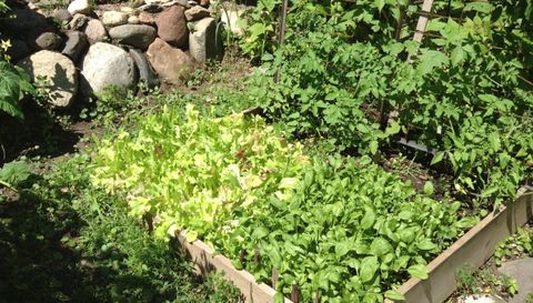 5833 Creek Valley Rd