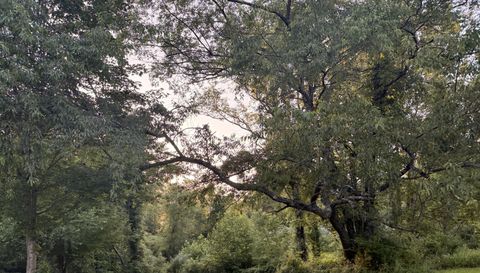 68247 State Route 56