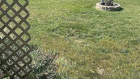 2428 Rolling Hill Dr