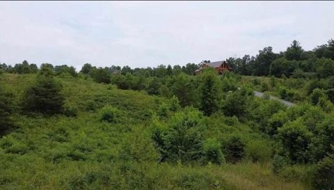 1034 Table View Drive