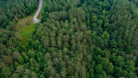 0 Reece Mountain Road Ellijay Ga 30540