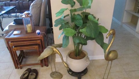 11411 SW Courtney Dr