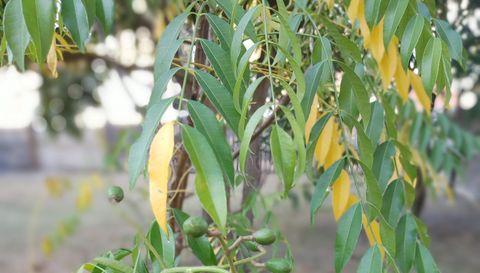 5398 Oxford Manor Cir