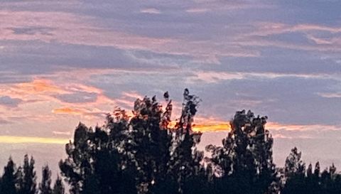 1071 S Header Canal Rd