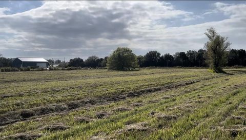 1503 S Header Canal Rd