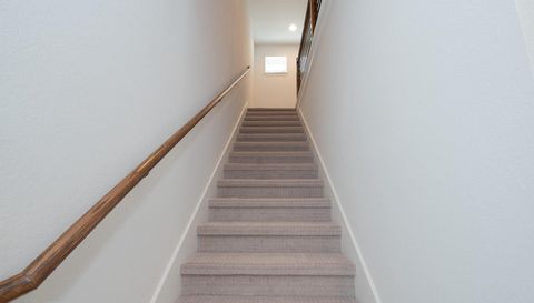 5302 Mulberry Grove LN