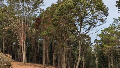 16091 Jackson Trace Rd