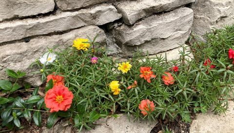 49 Sheridan Avenue S