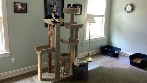 3116 Riviere Du Chien Loop W