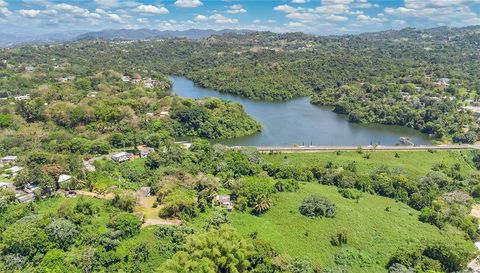 14 Acre LAGOON VIEW ESTATE
