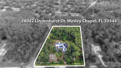 28042 LINDENHURST DRIVE