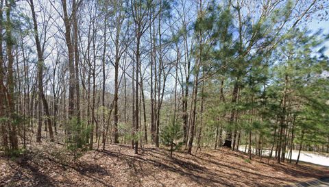 104 Hidden Branches Ln
