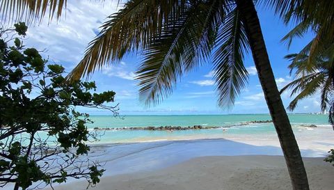 Isla Verde Avenue 3205 The Galaxy