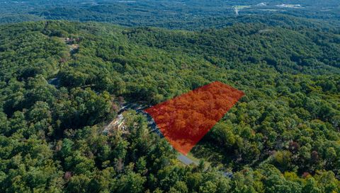 99999 Mountain Grove Ln.