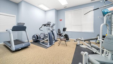 1125 Hawk Hollow Drive