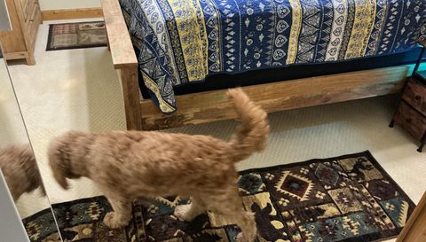 5475 Otto Williams Rd