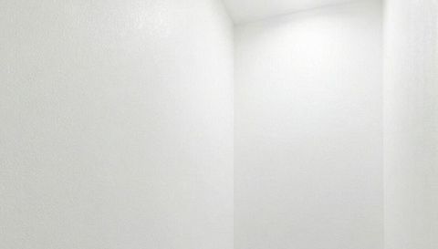 2980 Angelonia Thorn Way