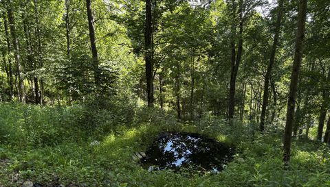 2879 Chandler Creek Rd