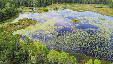 21511 WILDERNESS LAKE BOULEVARD